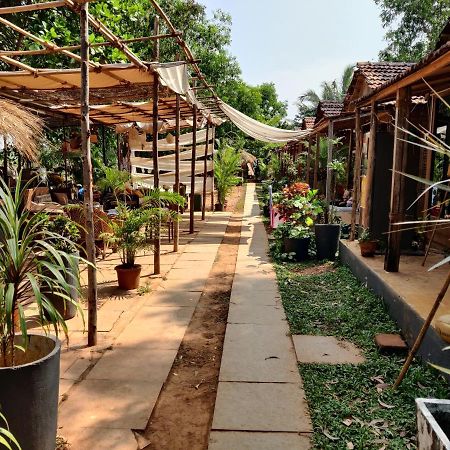 أنجونا Wonderland Hostel المظهر الخارجي الصورة