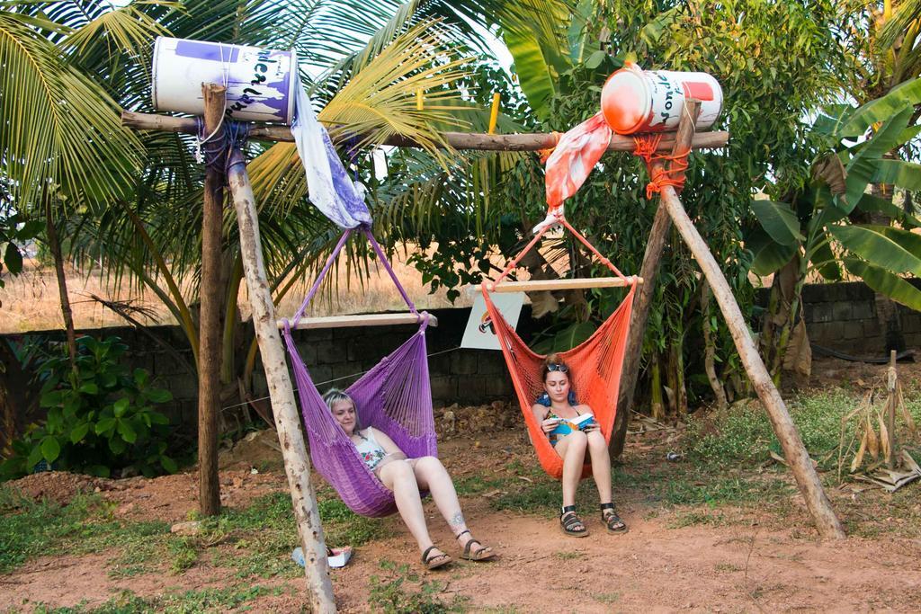 أنجونا Wonderland Hostel المظهر الخارجي الصورة