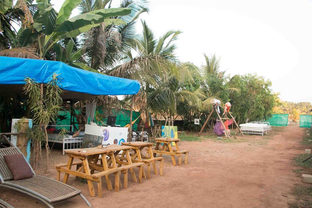 أنجونا Wonderland Hostel المظهر الخارجي الصورة