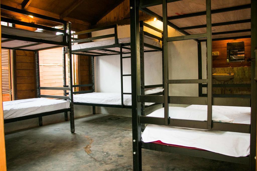 أنجونا Wonderland Hostel الغرفة الصورة