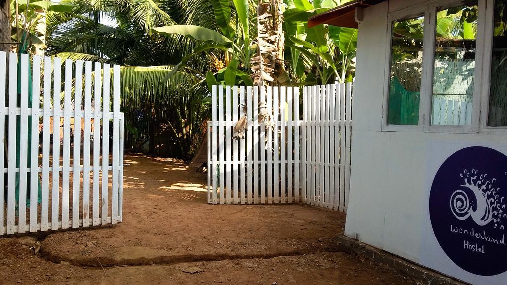 أنجونا Wonderland Hostel المظهر الخارجي الصورة