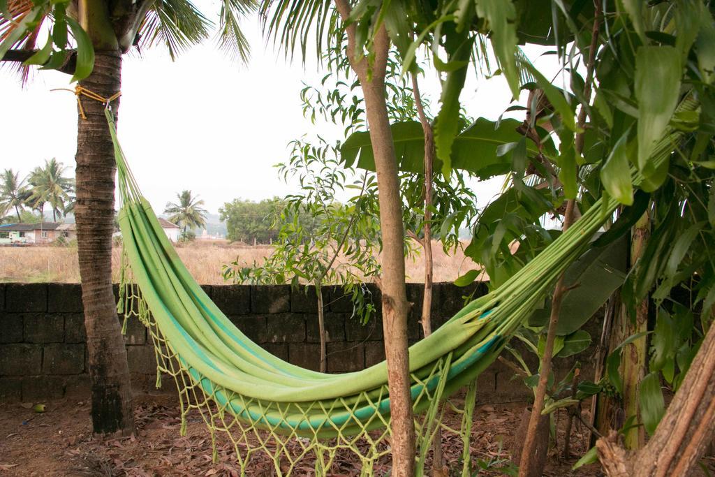 أنجونا Wonderland Hostel المظهر الخارجي الصورة