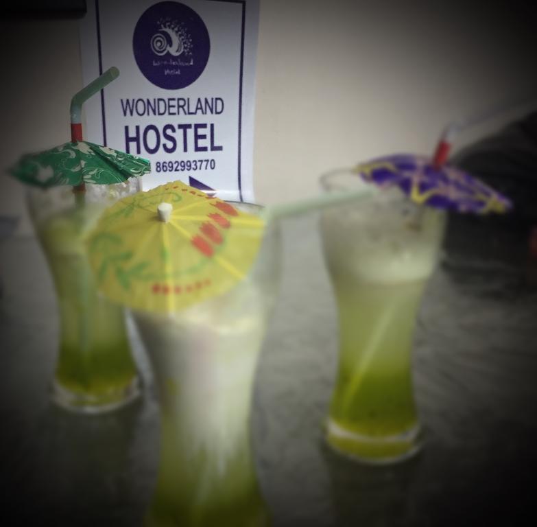 أنجونا Wonderland Hostel المظهر الخارجي الصورة