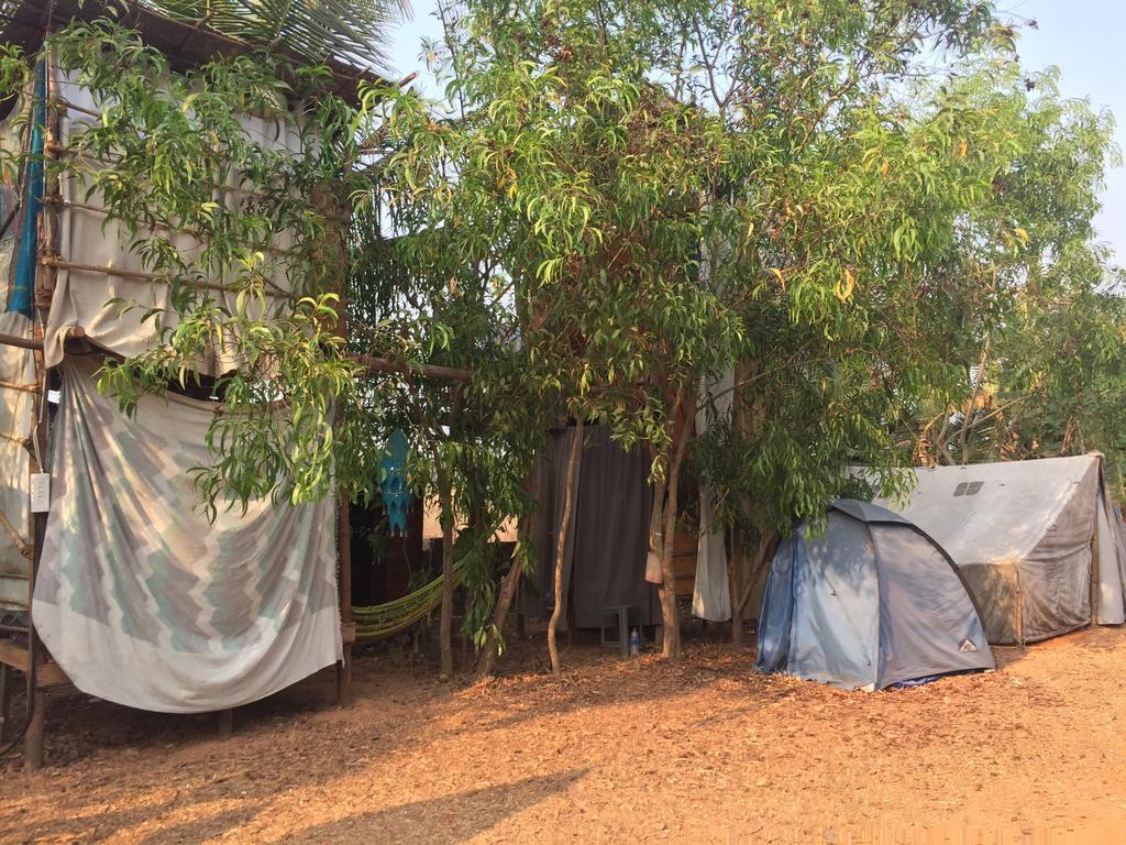 أنجونا Wonderland Hostel المظهر الخارجي الصورة