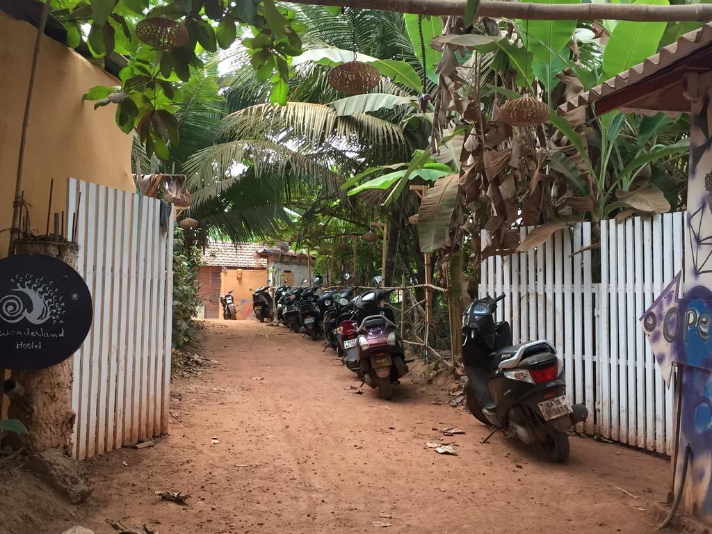 أنجونا Wonderland Hostel المظهر الخارجي الصورة