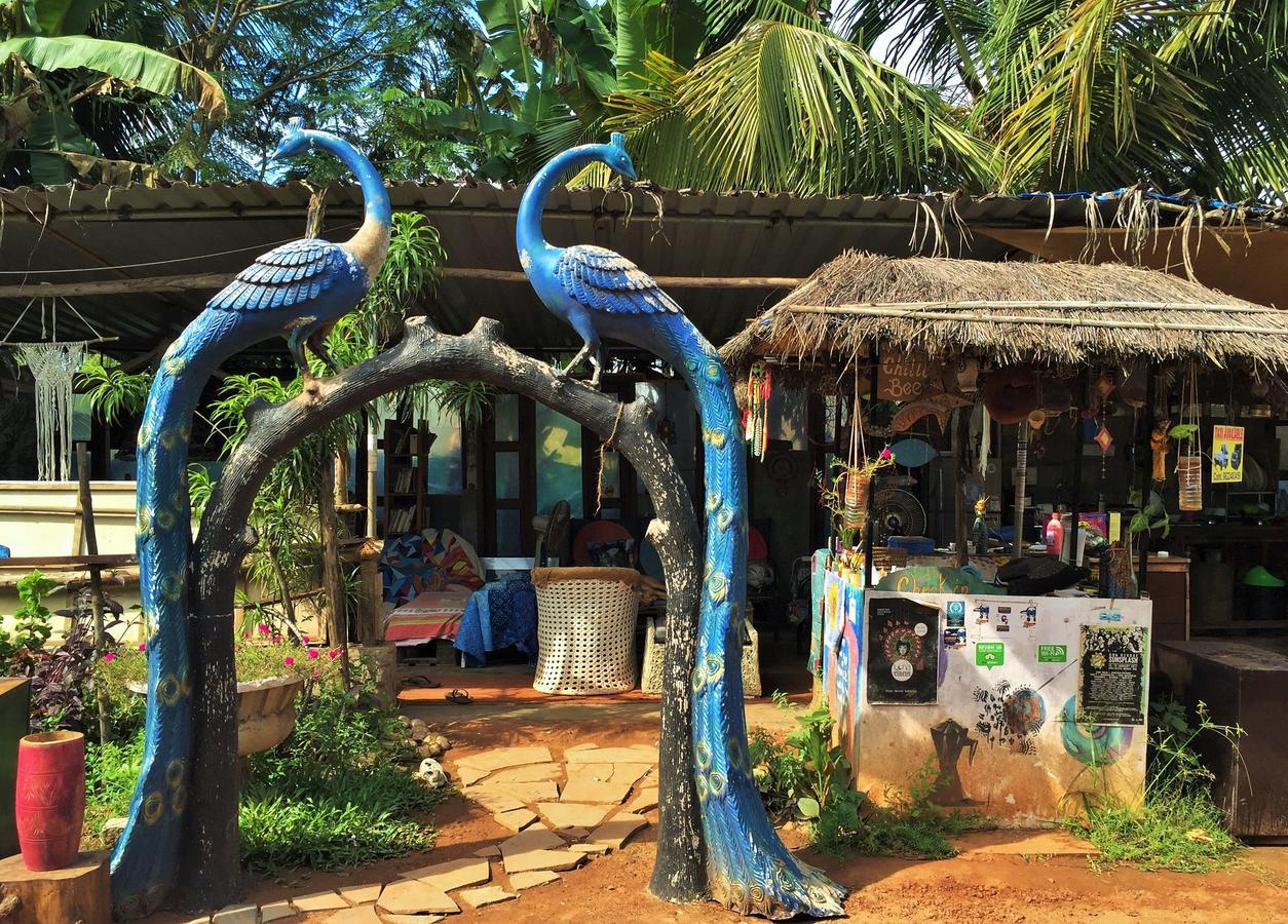 أنجونا Wonderland Hostel المظهر الخارجي الصورة