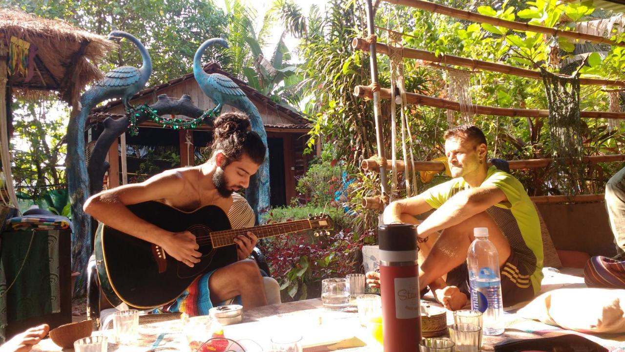 أنجونا Wonderland Hostel المظهر الخارجي الصورة